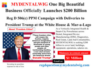 MYDENTALWIG One Big Beautiful Business Reg D Launch