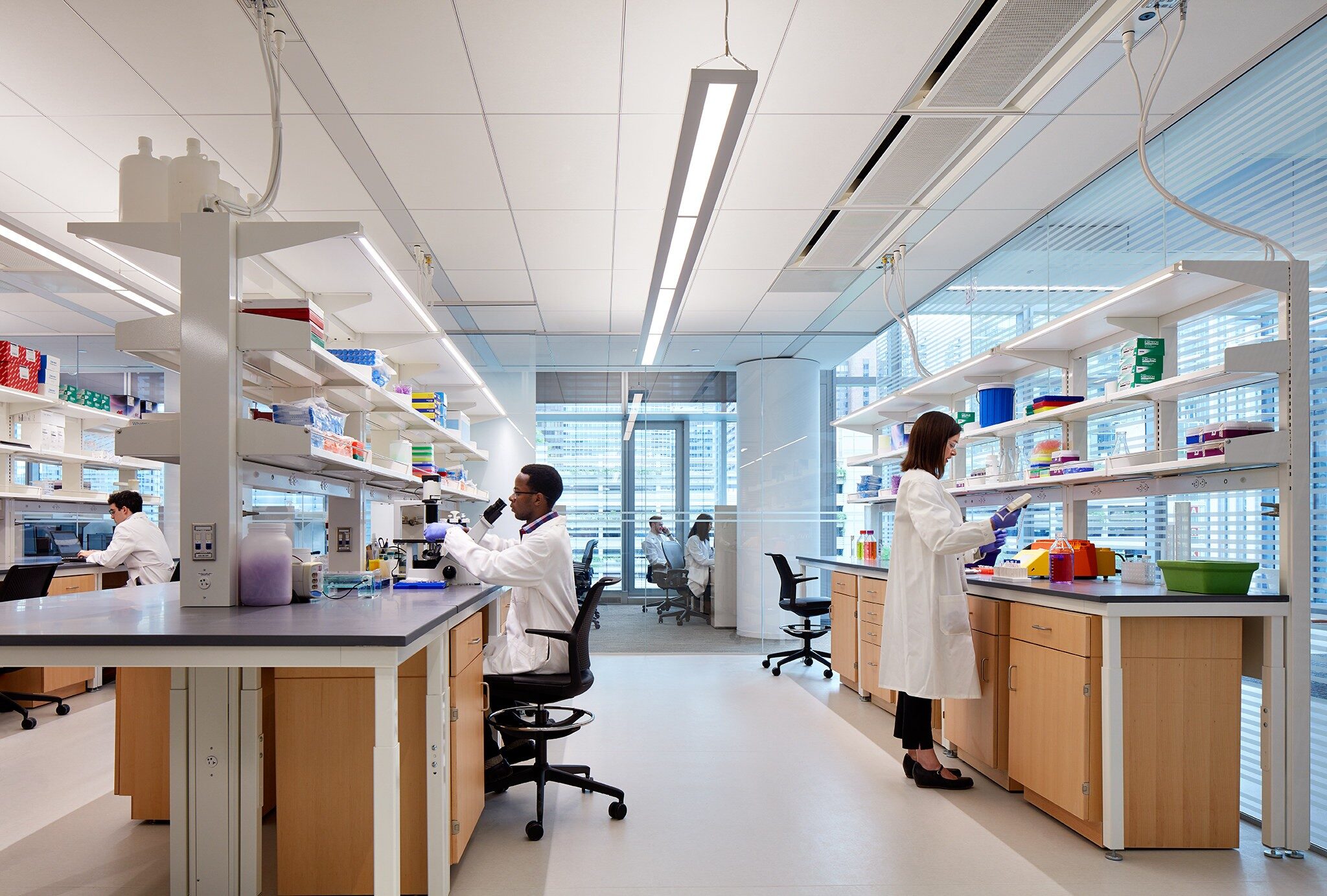 labsuni